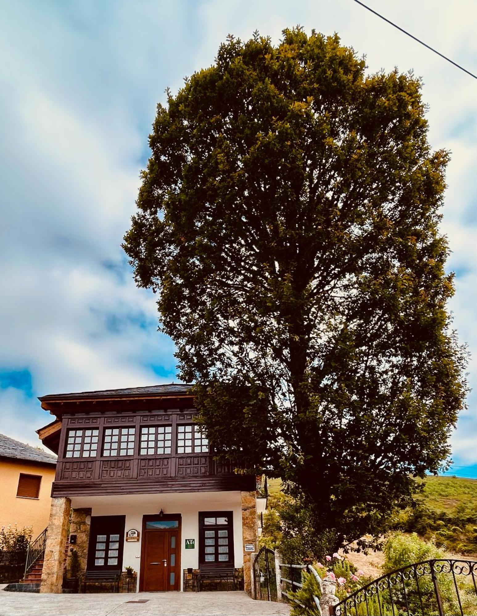 El Balcon De Muniellos Oballo ภายนอก รูปภาพ